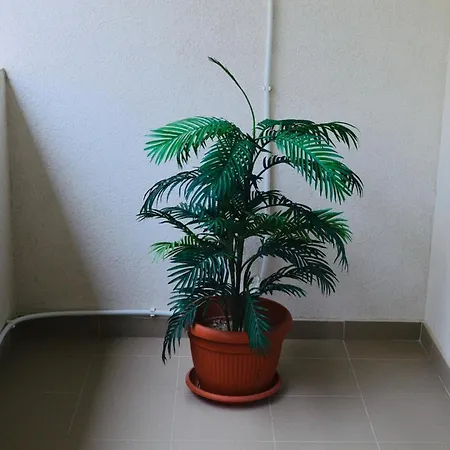 Appartamento Studio26 Mamaia Nord-