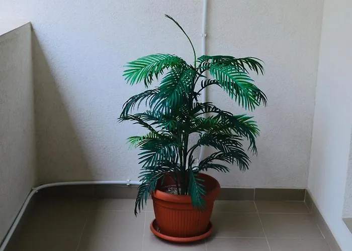 Apartament Studio26 Mamaia Nord-